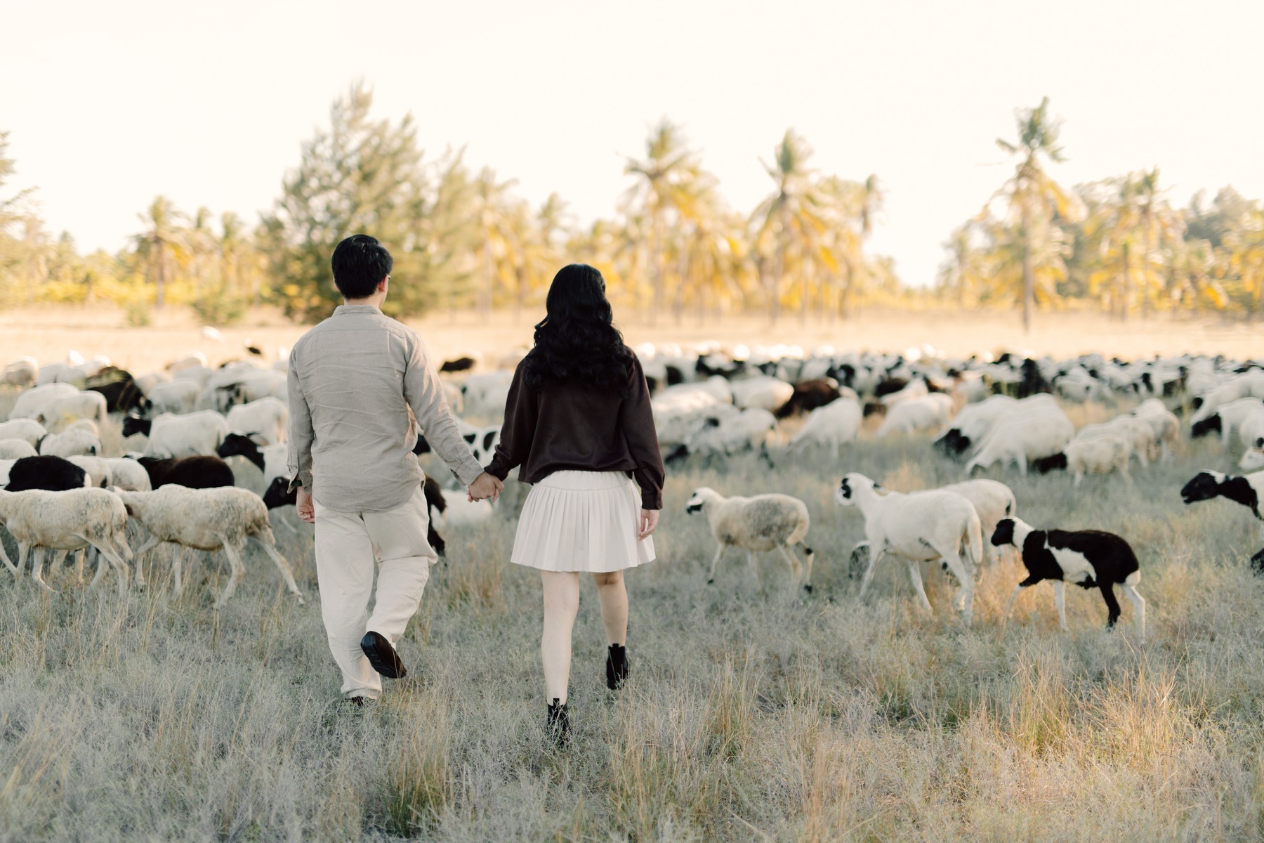 Rey and Feli walking hand in hand through a field filled with sheep