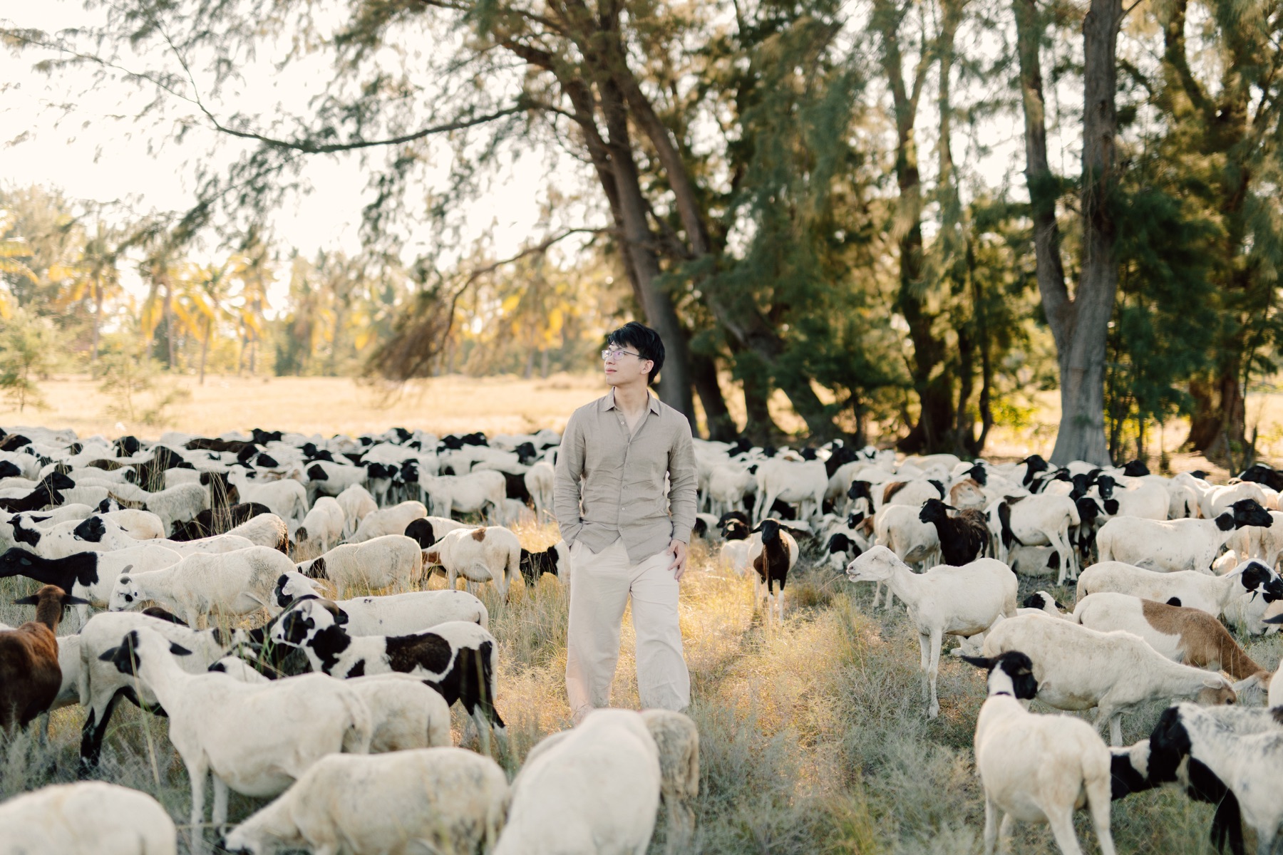 Rey and Feli standing together among a wide flock of sheep